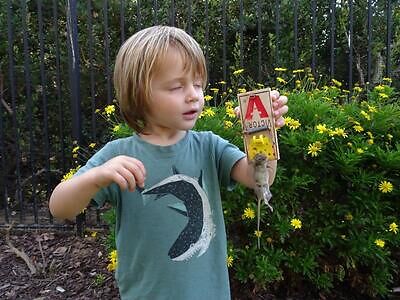 Boca Raton pest control